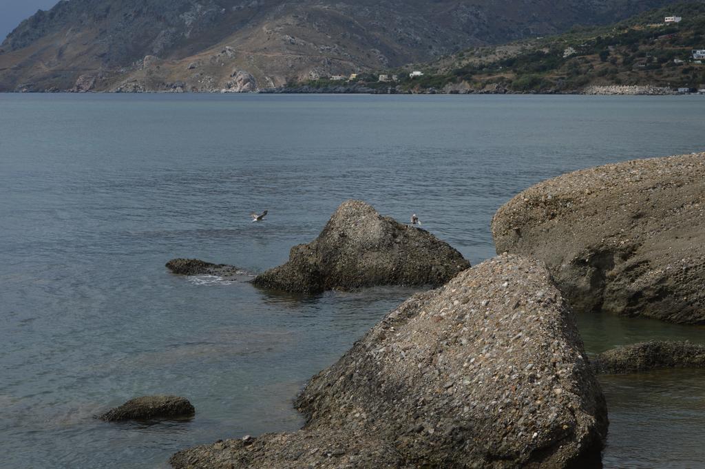 Despoina Rooms Plakias Room photo